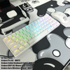 WHITEOUT EDITION - Kraken Pro 60% Mechanical Keyboard